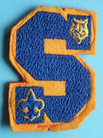 BADGE SCOUTS ( Zie / See / Voir Photo ) BADGE SCOUTS ! - Scouting