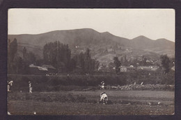 CPA Macédoine Carte Photo Voir Dos - Noord-Macedonië