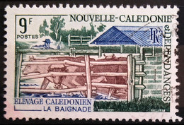 NOUVELLE CALEDONIE                         N° 356                           OBLITERE - Oblitérés