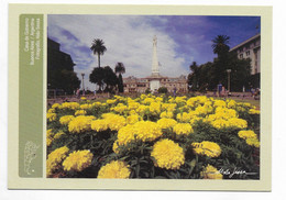 ARGENTINA POSTCARD POSTAL STATIONERY GOVERNMET HOUSE CASA DE GOBIERNO CASA ROSADA  ANDREANI A. SESSA PHOTOGRAPHER - Nuovi