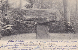 Ronse, Les Environs De Renaix, Bois Joly, Le Dolmen (pk72284) - Renaix - Ronse