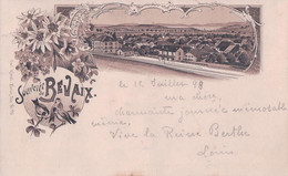 Souvenir De Bevaix NE, Chemin De Fer Et La Gare, Edelweiss, Litho Brune 1898 (776) - Bevaix