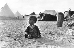 Sahara Occidental - 1976 - Campement  Du Front Polisario - Western Sahara