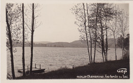 Isère : CHARAVINES : Les Bords Du Lac : C.p.s.m. : - Charavines