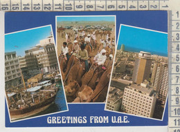 EMIRATS ARABES UNIS GREETINGS FROM U.A.E.  NO STAMP - Emirats Arabes Unis