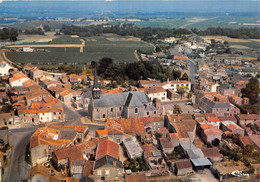44-MAISDON-SUR-SEVRE- VUE GENERALE AERIENNE - Sonstige & Ohne Zuordnung