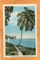 Dominica BWI Old Postcard - Dominique