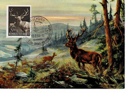 CARTE MAXIMUM AUTRICHE 1959 CERF DEER HIRSCH - Cartas Máxima