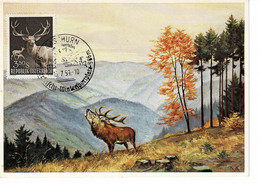 CARTE MAXIMUM AUTRICHE 1959 CERF DEER HIRSCH - Maximumkarten (MC)