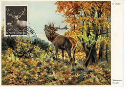 CARTE MAXIMUM AUTRICHE 1959 CERF DEER HIRSCH - Cartas Máxima