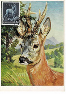 CARTE MAXIMUM AUTRICHE 1959 CHEVREUIL ROE DEER REH - Cartas Máxima