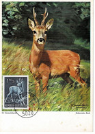 CARTE MAXIMUM AUTRICHE 1959 CHEVREUIL ROE DEER REH - Maximumkarten (MC)