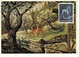 CARTE MAXIMUM AUTRICHE 1959 CHEVREUIL ROE DEER REH - Maximum Cards