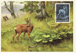 CARTE MAXIMUM AUTRICHE 1959 CHEVREUIL ROE DEER REH - Maximum Cards