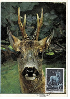 CARTE MAXIMUM AUTRICHE 1959 CHEVREUIL ROE DEER REH - Maximum Cards