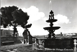 VITERBO - FONTANA DEL PALAZZO COMUNALE - E.MILIONI - VG FG - F051 - Viterbo