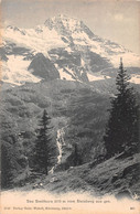 Das Breithorn Vom Steinberg Aus Ges - Zermatt - Zermatt