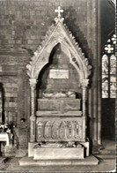 VITERBO - BASILICA DI SAN FRANCESCO ALLA ROCCA - VERA FOTO FOTOCELERE - VG FG - F049 - Viterbo