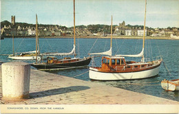 DONAGHADEE - COUNTY DOWN - FROM THE HARBOUR - SAILING BOATS - NORTHERN IRELAND - Down