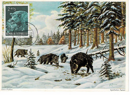 CARTE MAXIMUM AUTRICHE 1959 SANGLIERS - Maximum Cards