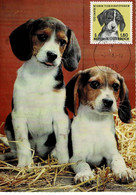 CARTE MAXIMUM AUTRICHE 1967 CHIENS 120ème ANNIVERSAIRE SOCIETE PROTECTION ANIMAUX VIENNE - Maximumkaarten