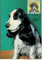 CARTE MAXIMUM AUTRICHE 1967 CHIENS 120ème ANNIVERSAIRE SOCIETE PROTECTION ANIMAUX VIENNE - Maximumkaarten