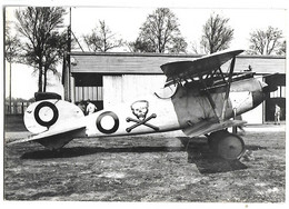 AVION - Allemagne - Monoplan De Chasse Albatros D-5 - Guerre 1914-1918 - Carte Rééditée - 1914-1918: 1ère Guerre