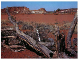 (W 15) Australia - NT - Kings Canyon - Ohne Zuordnung