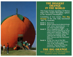 (W 15) Australia - SA - Big Orange Near Berri - Altri & Non Classificati