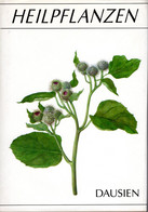 Heilpflanzen - Dausien - Health & Medecine