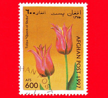 AFGANISTAN - Nuovo Oblit. - 1997 - Fiori - Tulipani - Tulip Queen Of Saba (Tulipa Sp.) - 600 - Afghanistan