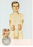 CARTE MAXIMUM GRECE 1981 LES ORGANES HUMAINS - Maximum Cards & Covers