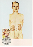 CARTE MAXIMUM GRECE 1981 LES ORGANES HUMAINS - Cartoline Maximum