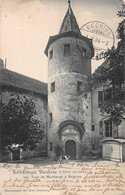 Archéologie Vaudoise Tour De Martheray à Begnins - Bouvier Bernois Chien - Begnins