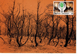 CARTE MAXIMUM GRECE 1986 LA FORET INCENDIEE - Cartoline Maximum