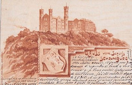 GRUSS VOM SCHLOSS   SCHAUMBURG    LITHO       PRECURSEUR - Schaumburg