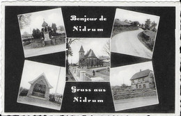 539-bonjour De Nidrum-Grussn Nidrum - Bullange - Büllingen