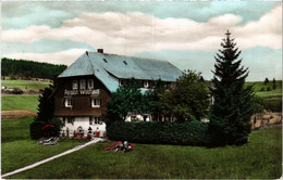 CPA AK Schluchsee Pension Waldhaus GERMANY (1019310) - Schluchsee