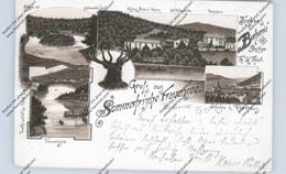 0-6200 BAD SALZUNGEN - FRAUENSEE, Lithographie 1893, Bahnpost - Bad Salzungen