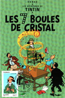 Carte Maximum YT 4052 Les Voyages De TINTIN Le Professeur TOURNESOL Hergé 1er Jour 12 05 2007 TBE Paris (75) - 2000-09