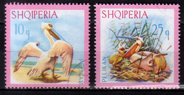 1967 Albania Birds Dalmatian Pelican / Pelecanus Crispus Used Mi 1138/1140 - Pelikanen