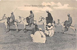 ¤¤  -  YEMEN  -  ADEN   -  Arabian Donkey Caravan         -  ¤¤ - Jemen