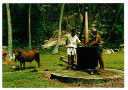 Ref 1427 - Seychelles Postcard - Bullock Powered Coconut Oil Mill - Seychelles