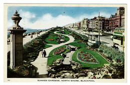 Ref BB 1429  - 1951 Postcard - Sunken Gardens - North Shore Blackpool - Lancashire - Blackpool