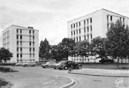 CHEVILLY-LARUE - Les Sorbiers - Immeubles, H.L.M. - Automobiles - Chevilly Larue