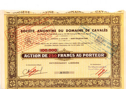 Action De 250 Frcs Au Porteur - S.A. Du Domaine De Cavalès - Saint-Gilles-du-Gard 1934. - Landwirtschaft