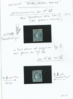 2Timbres  " 20c Bordeaux Bleu " N° 45 Et 46.....bonne Présentation ....à Voir - 1870 Emission De Bordeaux