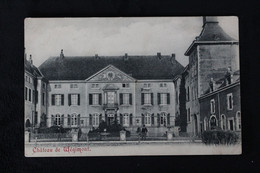 SOUMAGNE Château De Wégimont BELGIUM Castle Edit. L. Demarteau - Bosson - Soumagne