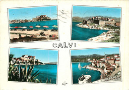 CORSE  CALVI   ( Cpsm) - Calvi