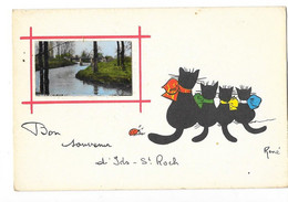 IDS SAINT ROCH (18) Carte Fantaisie Souvenir Chats René - Other & Unclassified